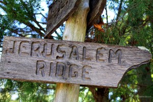 #BluegrassTrails. Bill Monroe's restored Old Homeplace, Pigeon Ridge, Rosine, Ohio County, Kentucky. September 28, 2016.