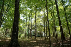 #BluegrassTrails. Bill Monroe's restored Old Homeplace in the woods of Pigeon Ridge, Rosine, Ohio County, Kentucky. September 28, 2016.